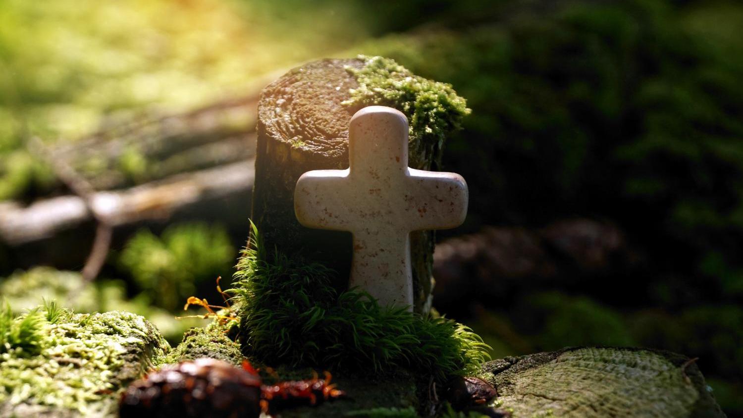 cross-4565899_by_0-0-0-0_pixabay_pbs (1)